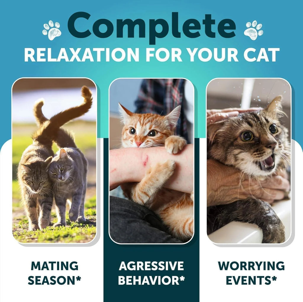 Hemp Calming Treats for Cats & Kittens Anxiety Relief Melatonin