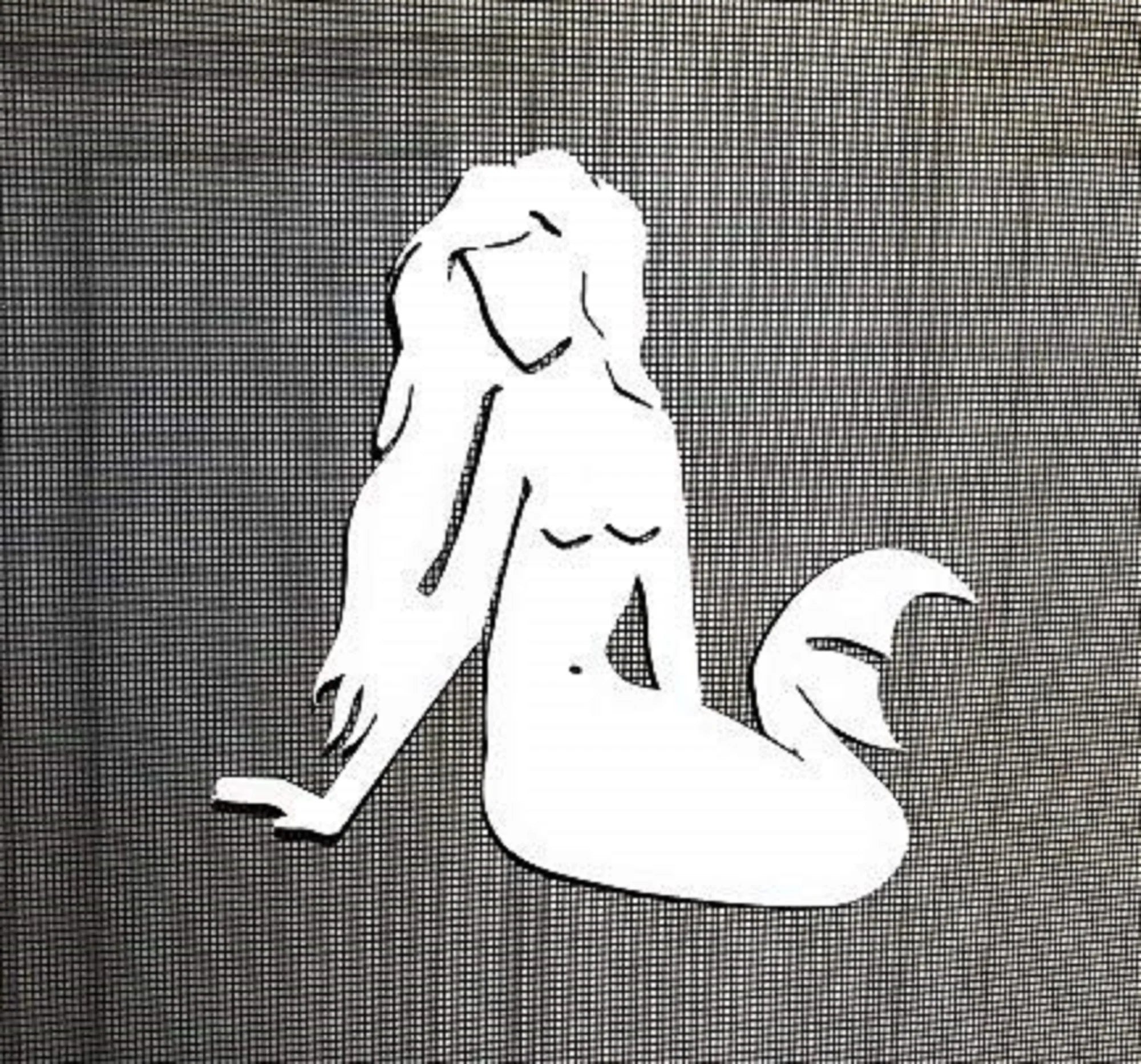 Dcentral® Mermaid Flexible Vinyl Screen Magnet; Double-Sided. White-Easier to See, Decorative. Helps to Stop Walking into Screens, Covers Small Tears, for NON-RETRACTABLES, Size W 5.8" X L 5.8"