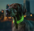 LED Dog Collar Waterproof USB Rechargeable Glow in the Dark Universal Size
